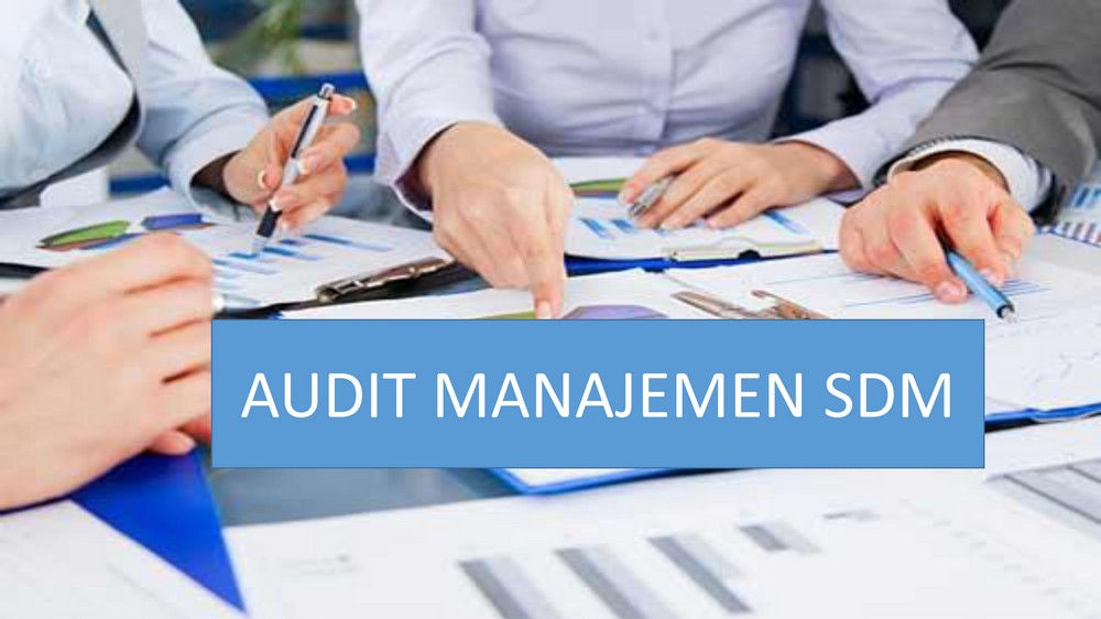 Audit Manajemen SDM
